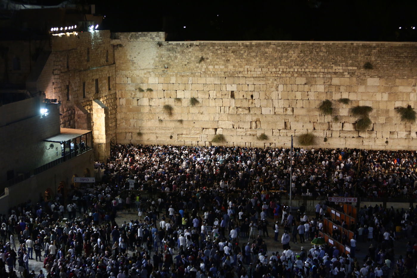 עשרות אלפים זעקו סליחות בכותל • תיעוד