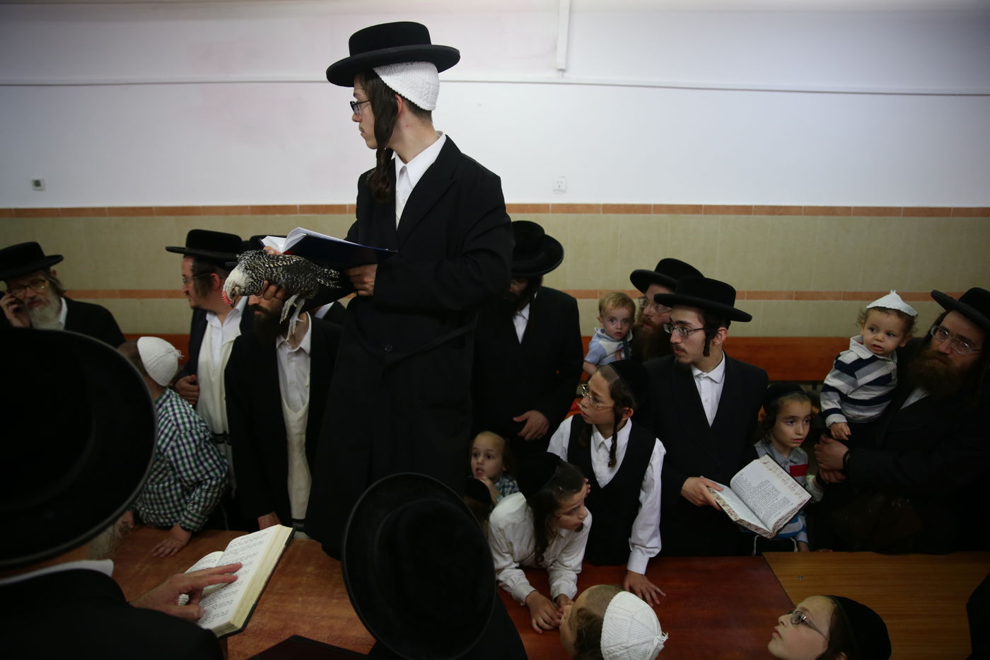 נטורי קרתא ערכו כפרות על עוף ה'בראקל'