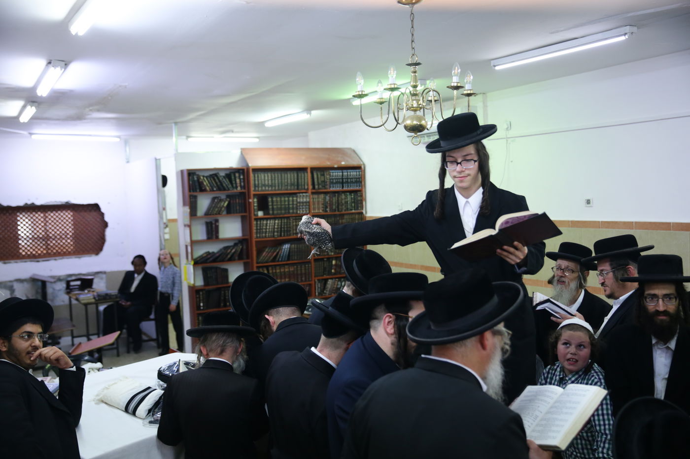 נטורי קרתא ערכו כפרות על עוף ה'בראקל'