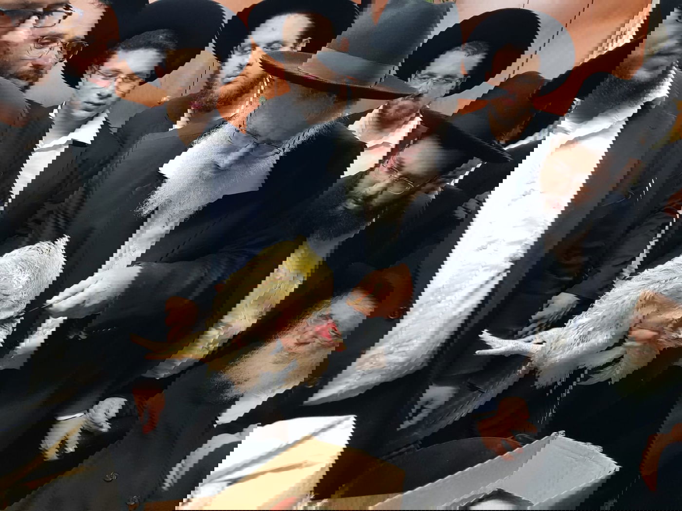 מרן הגר"ח קנייבסקי קיים את מנהג הכפרות ו'כיסוי הדם'