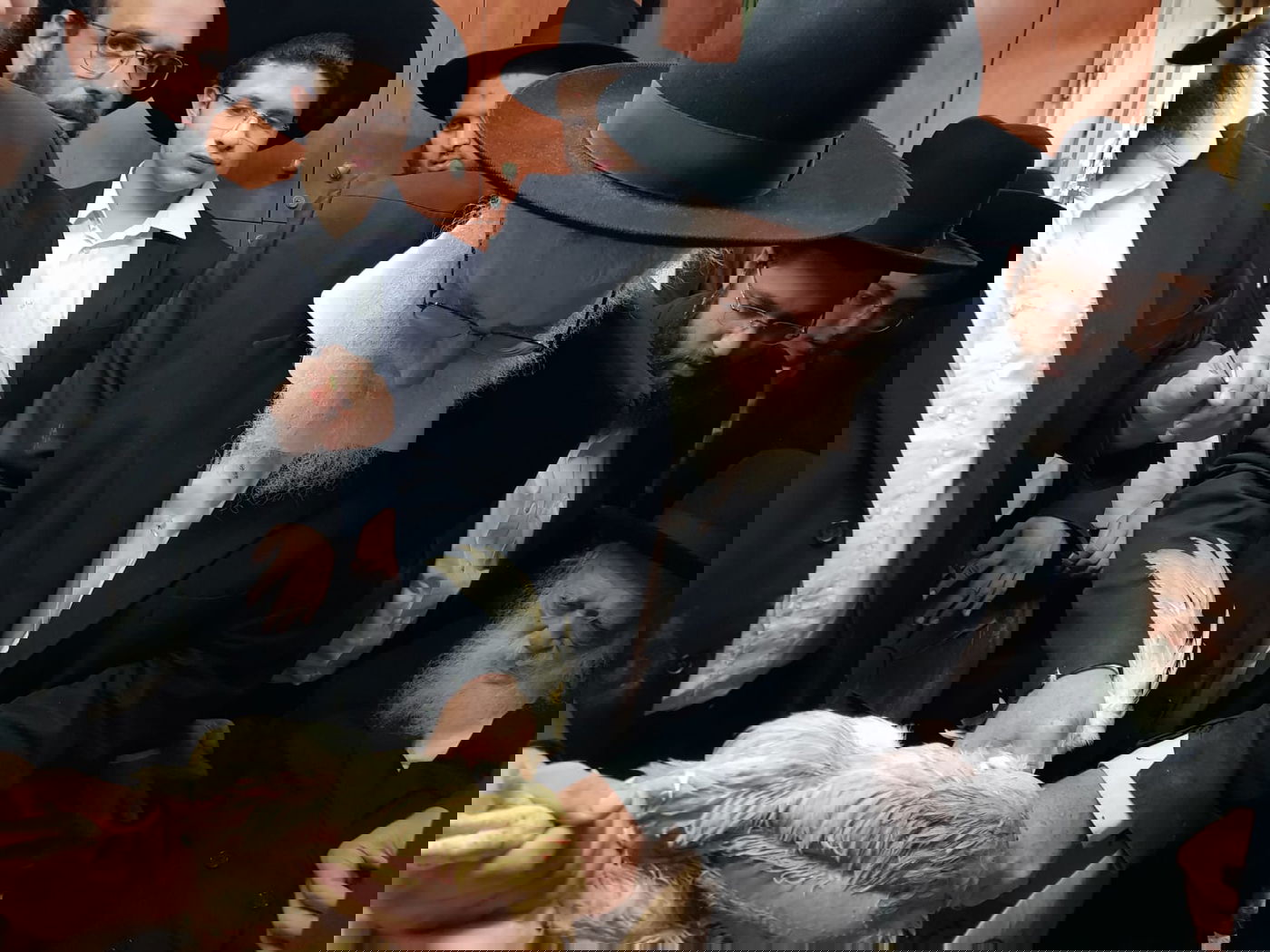 מרן הגר"ח קנייבסקי קיים את מנהג הכפרות ו'כיסוי הדם'