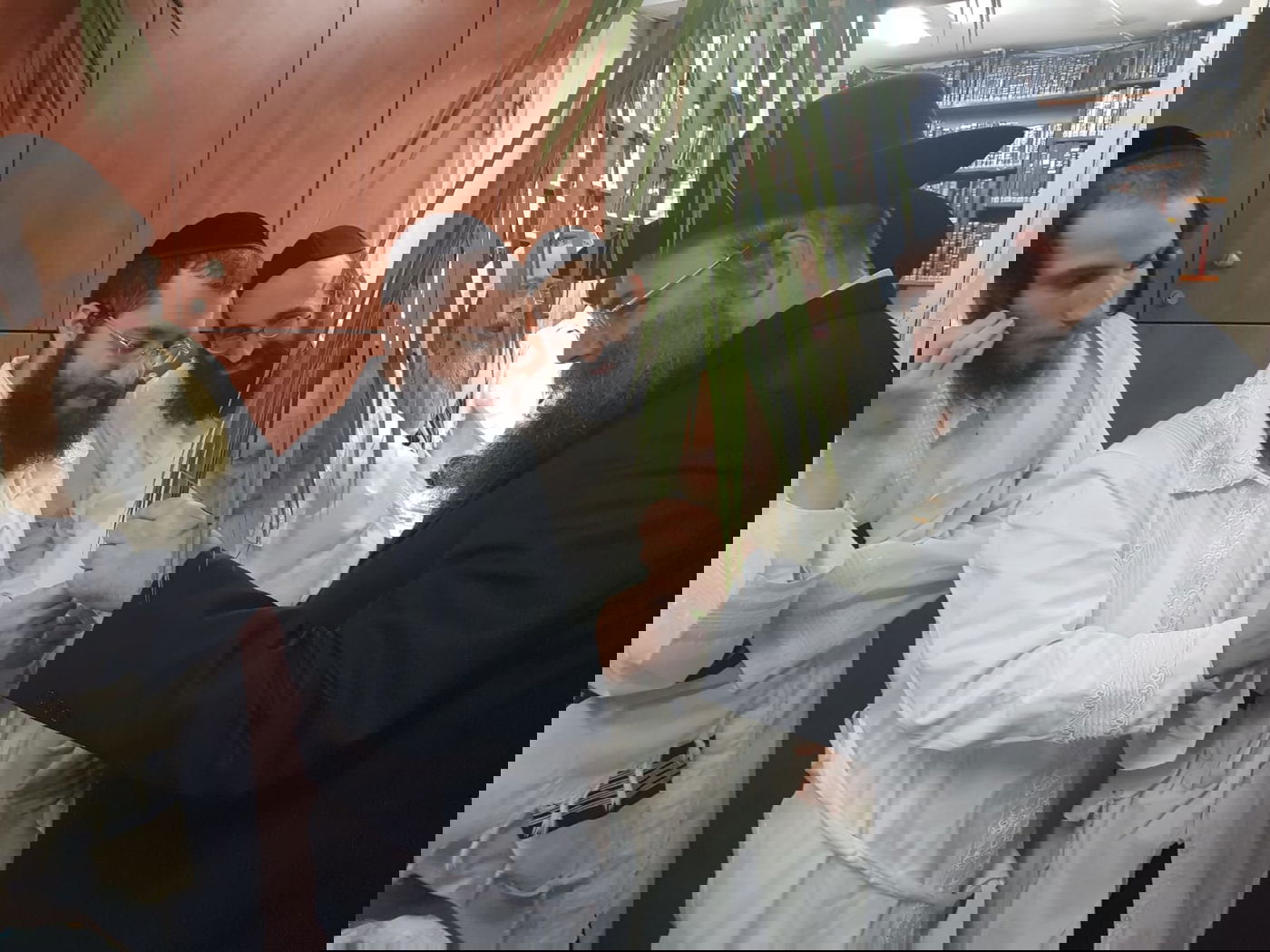 מוצאי כיפור: הגר"ח קנייבסקי סיכך את סוכתו. תיעוד