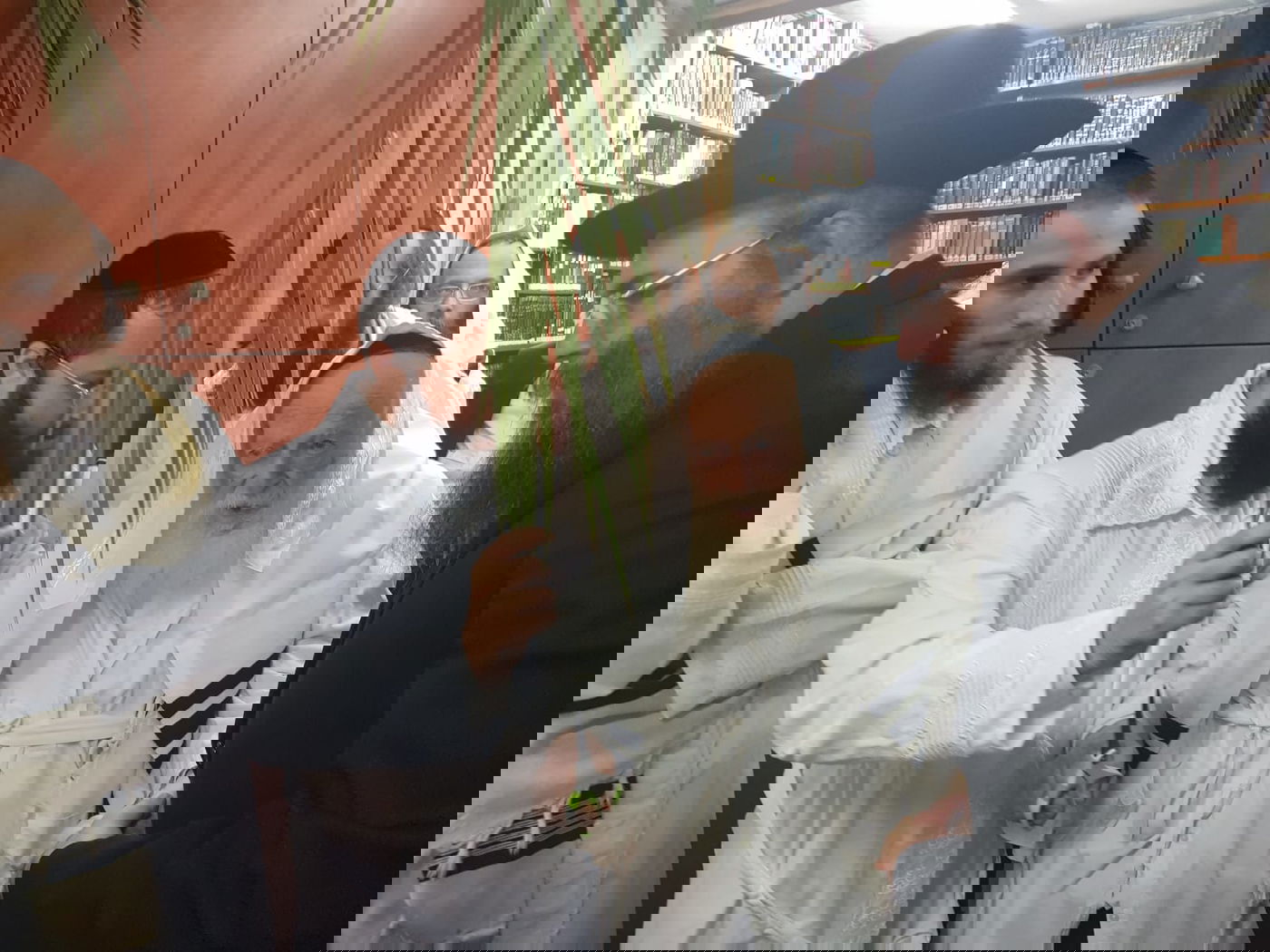 מוצאי כיפור: הגר"ח קנייבסקי סיכך את סוכתו. תיעוד