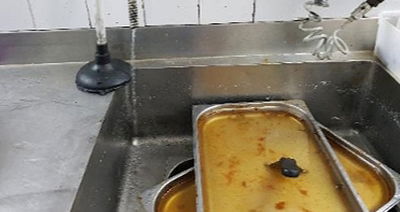 גללי חולדות במטבח של אולם אירועים בכפר סבא