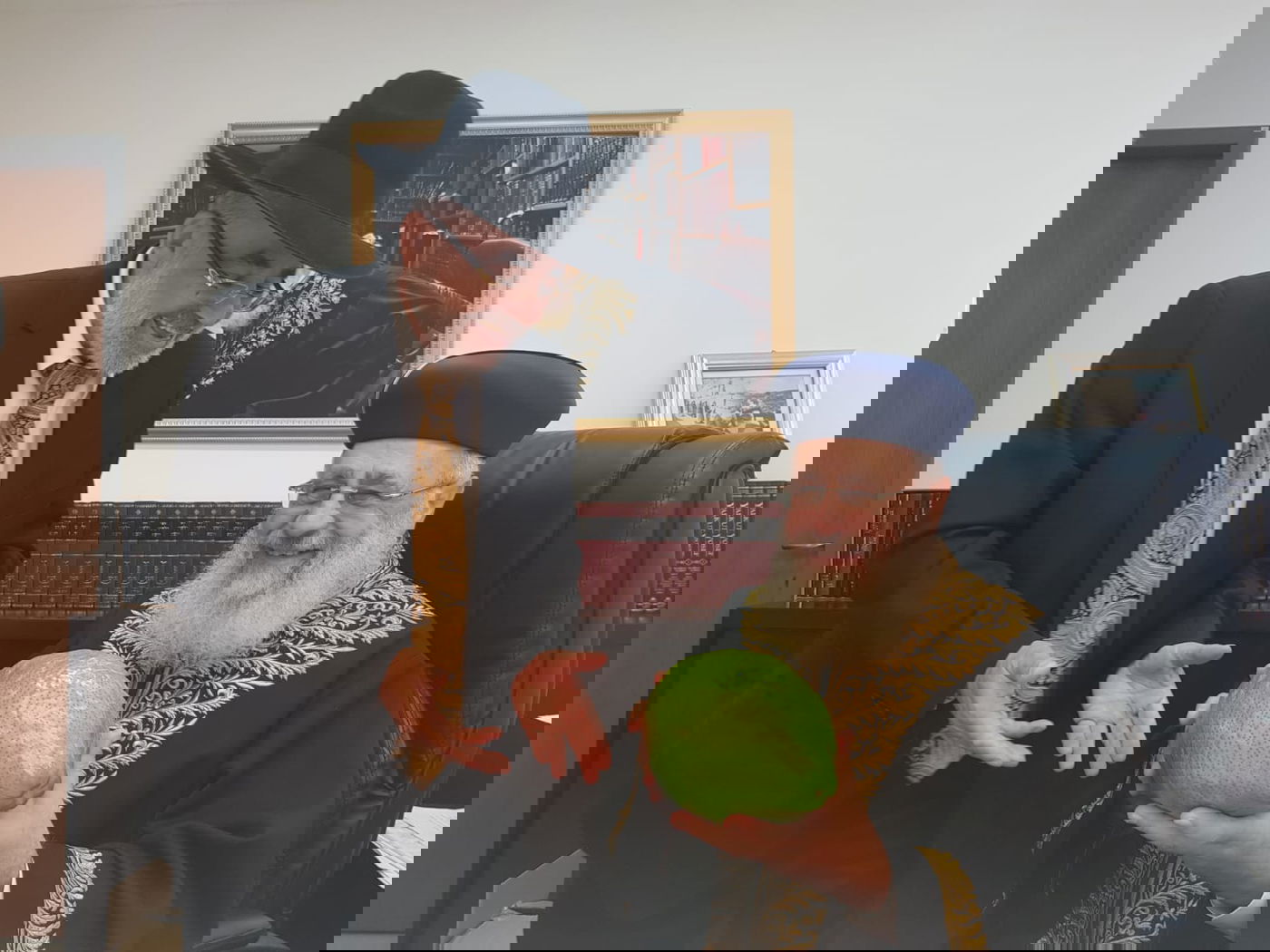 האתרוג הענק של הראשון לציון • תמונות