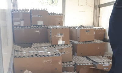 המשטרה סיכלה הפצת 10 אלף ביצים. צפו