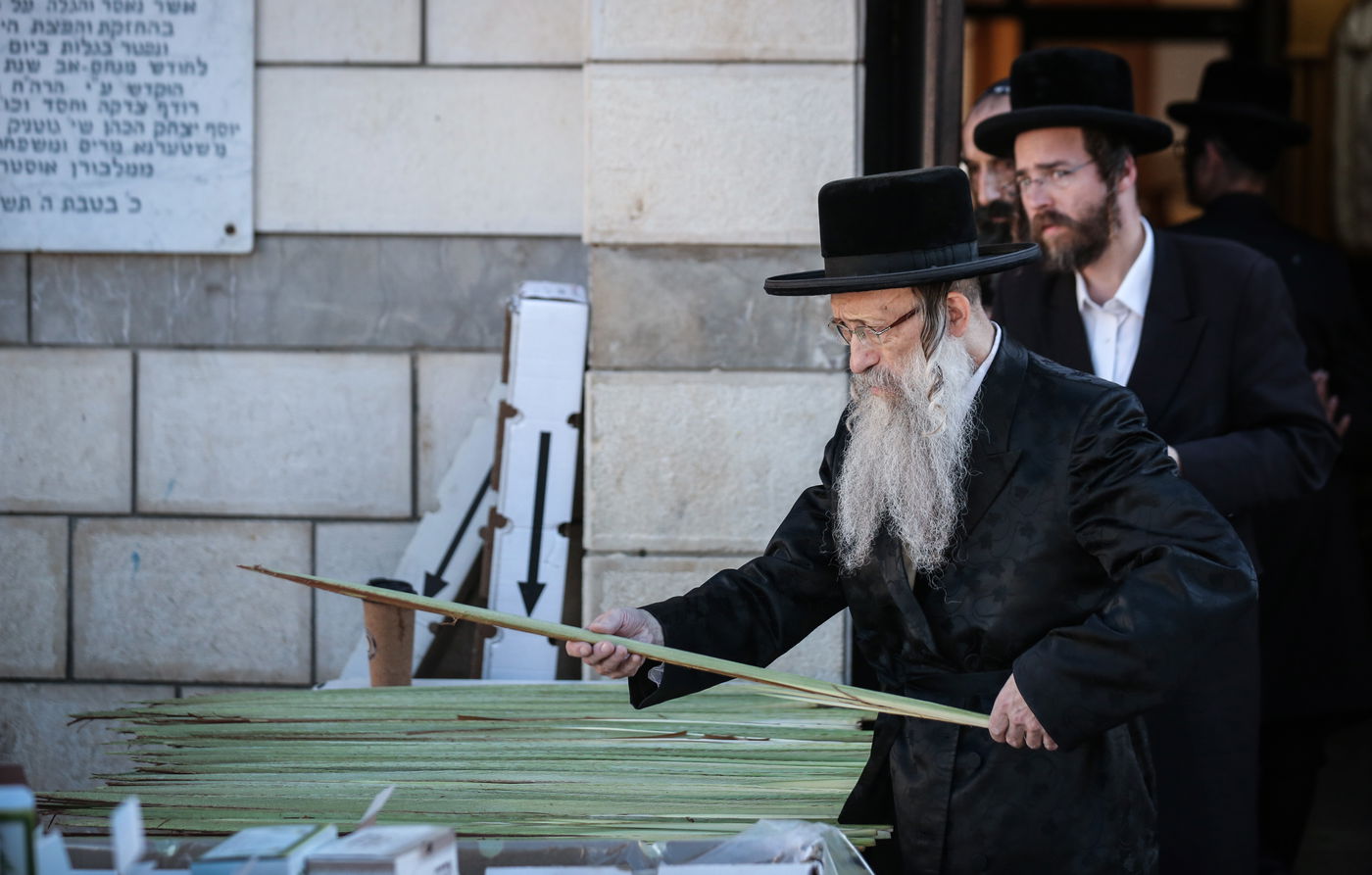 צפו: הרבי מנדבורנה צפת בבחירת ד' מינים