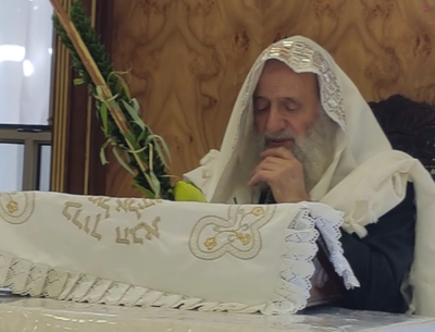 צפו: הגאון רבי ראובן אלבז נוטל ד' מינים