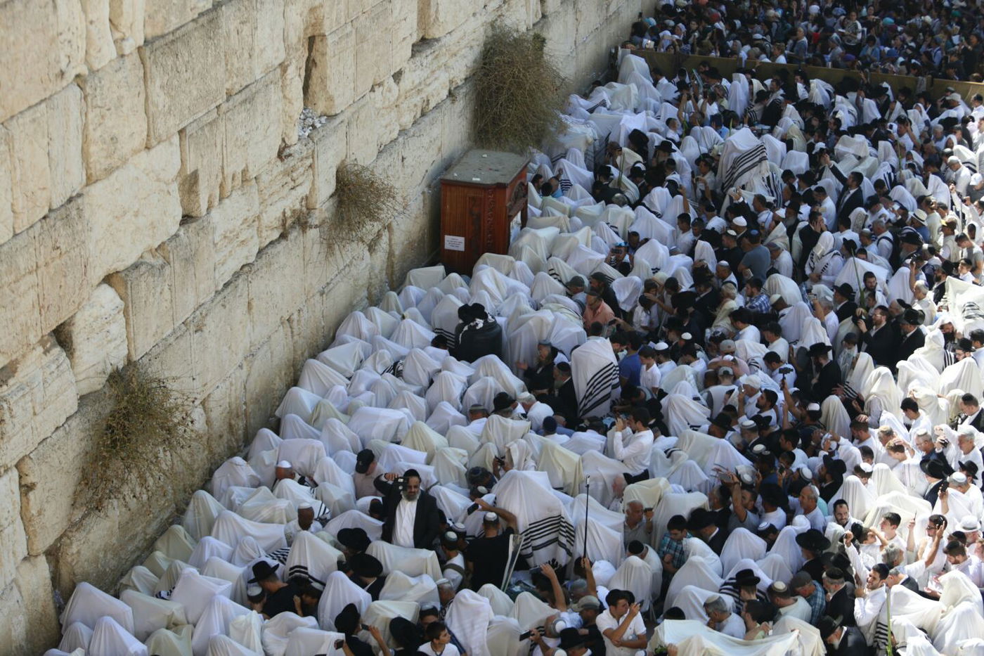 מעמד 'ברכת כהנים' של מוסף בכותל המערבי. צפו