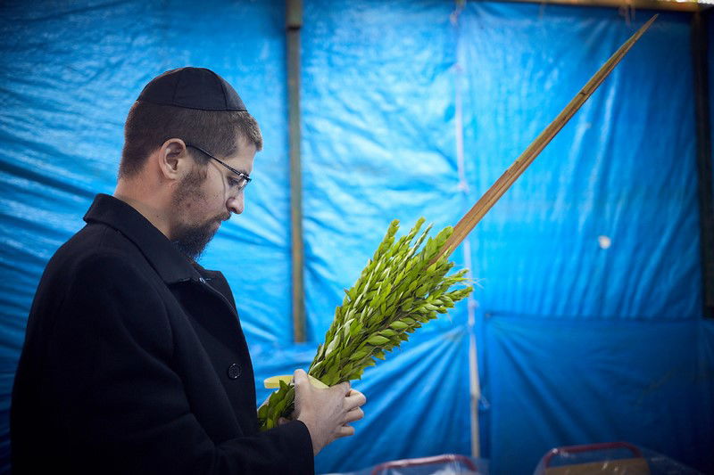 כך נראה חג הסוכות במוסקבה. גלריה