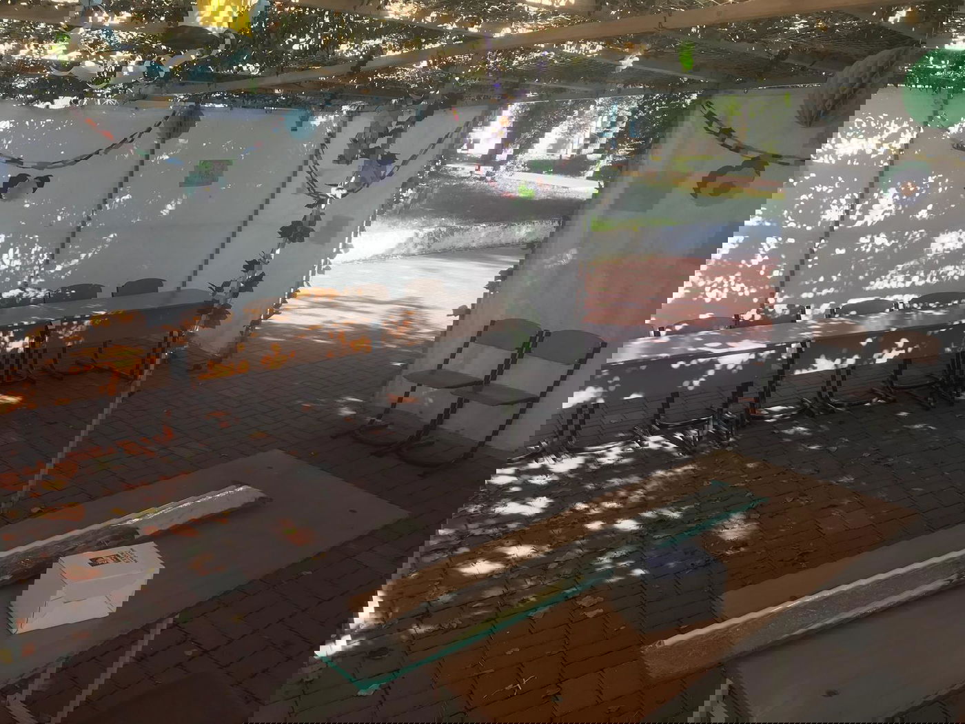 סוכה בקישינב, בירת מולדובה