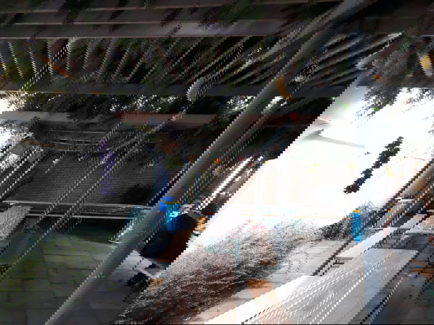 סוכה בקלן, גרמניה