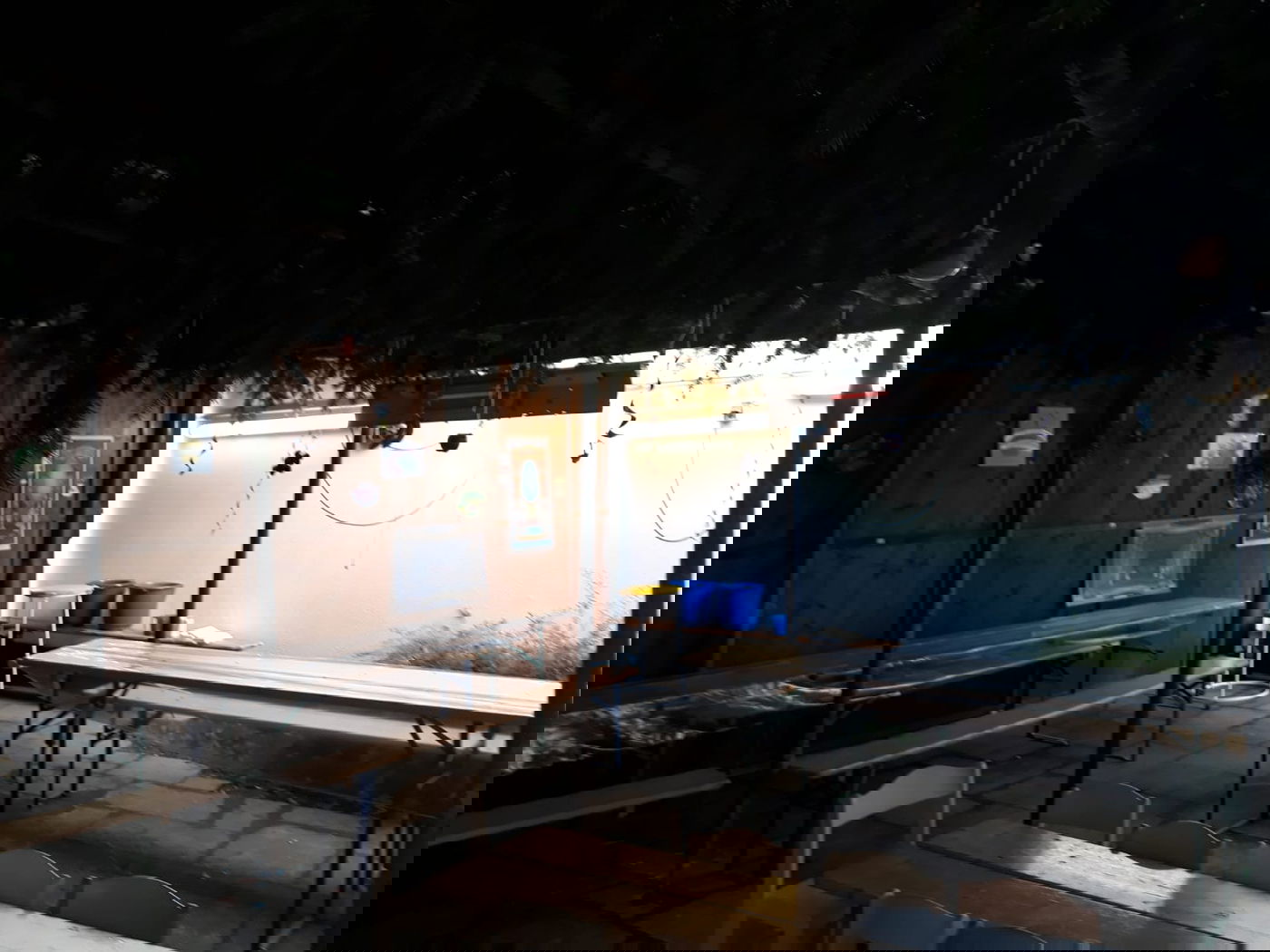 סוכה בקלן, גרמניה