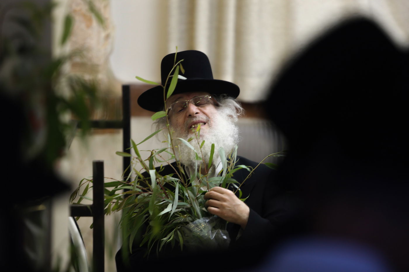 קול מבשר מבשר ואומר: הערבות מוכנות