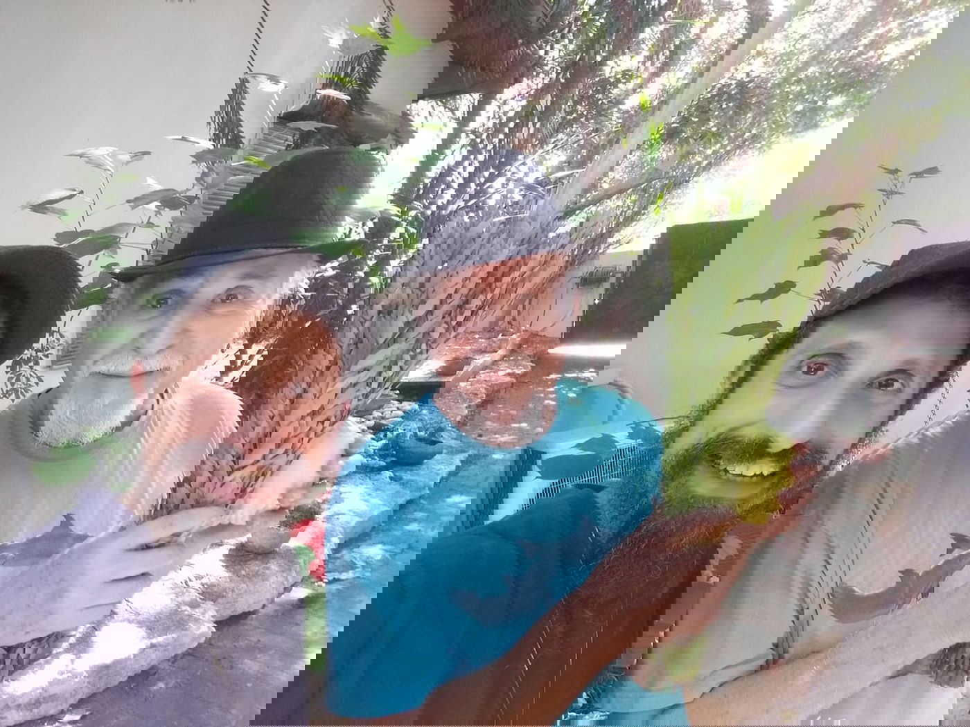 שלמה גרוניך בירך לראשונה על ד' המינים