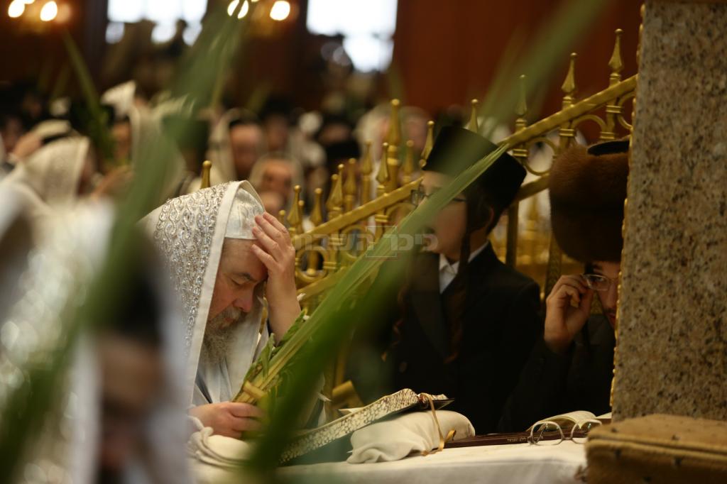 כ"ק האדמו"ר מבעלזא בהושענות