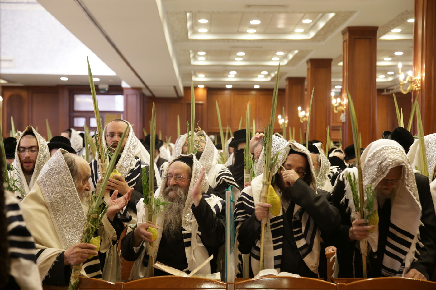 הושענא רבה בחצר הקודש בעלזא • תיעוד