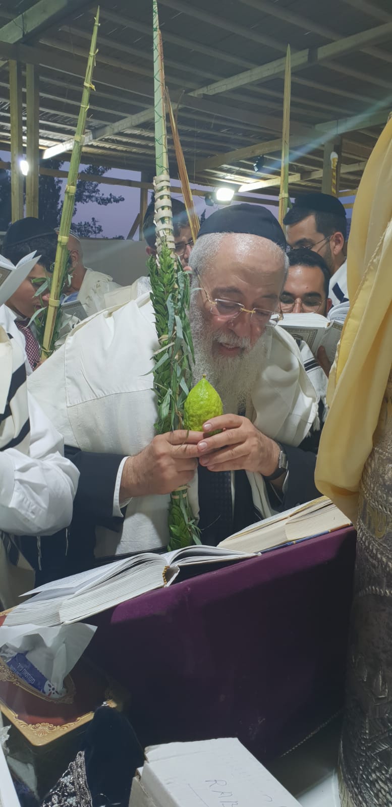 תיעוד: הושענא רבא במעונם של הראשונים לציון