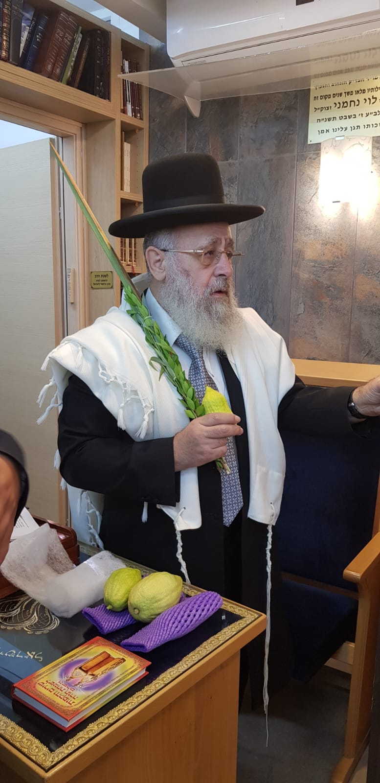 תיעוד: הושענא רבא במעונם של הראשונים לציון