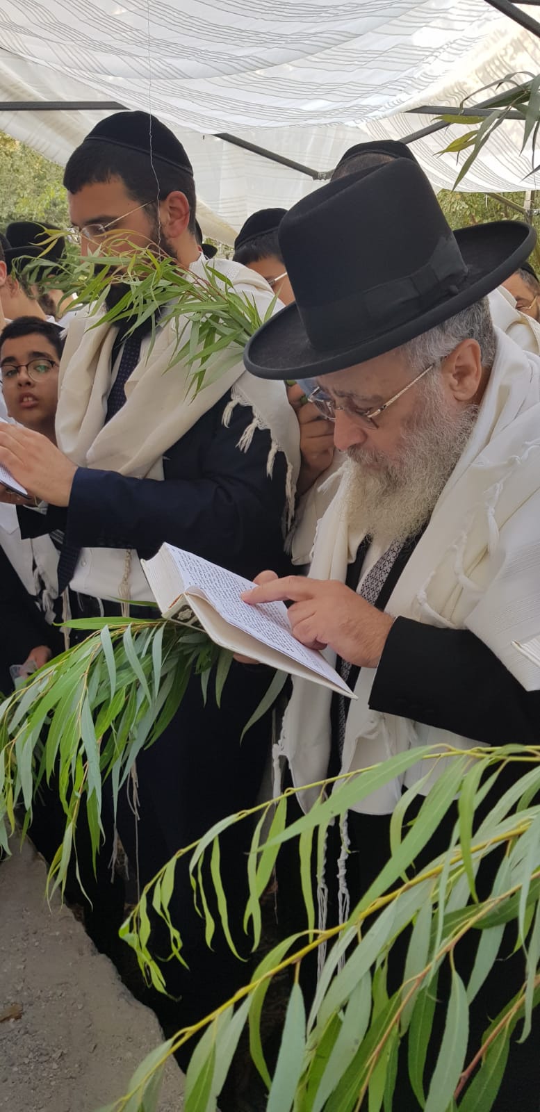 תיעוד: הושענא רבא במעונם של הראשונים לציון