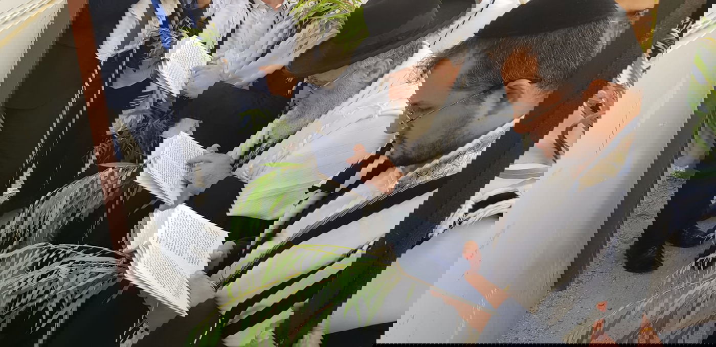 תיעוד: הושענא רבא במעונם של הראשונים לציון