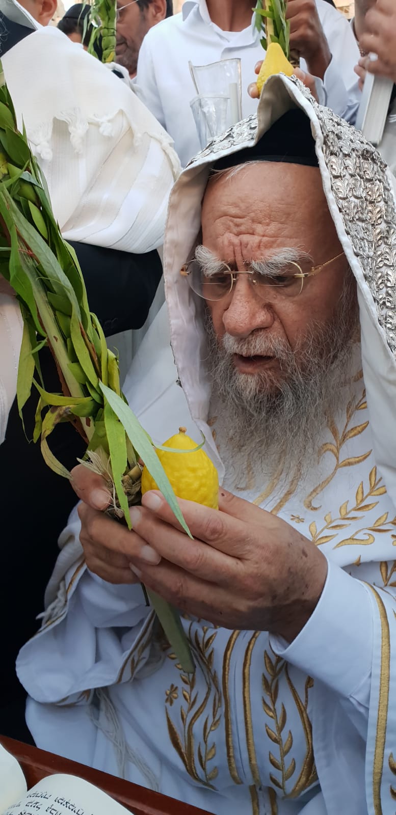 תיעוד: הושענא רבא במעונם של הראשונים לציון