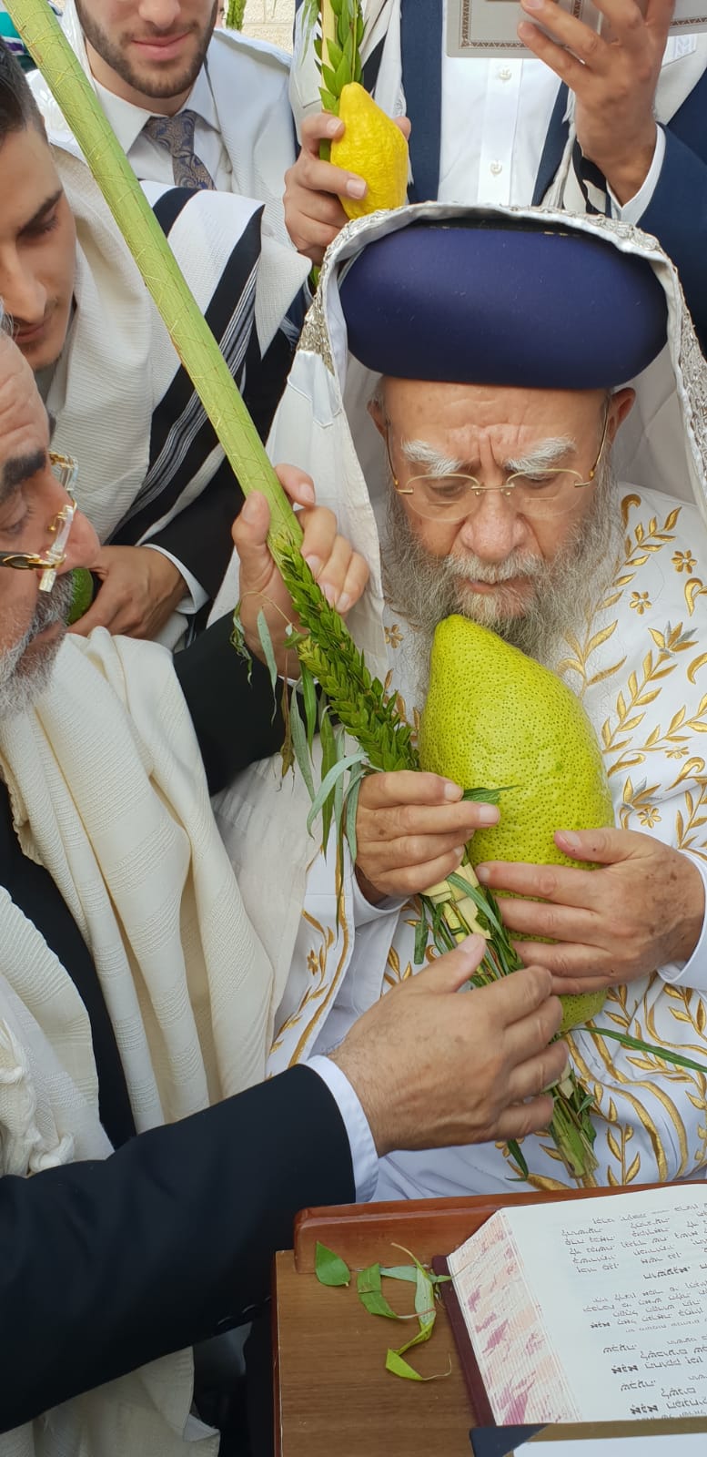 תיעוד: הושענא רבא במעונם של הראשונים לציון