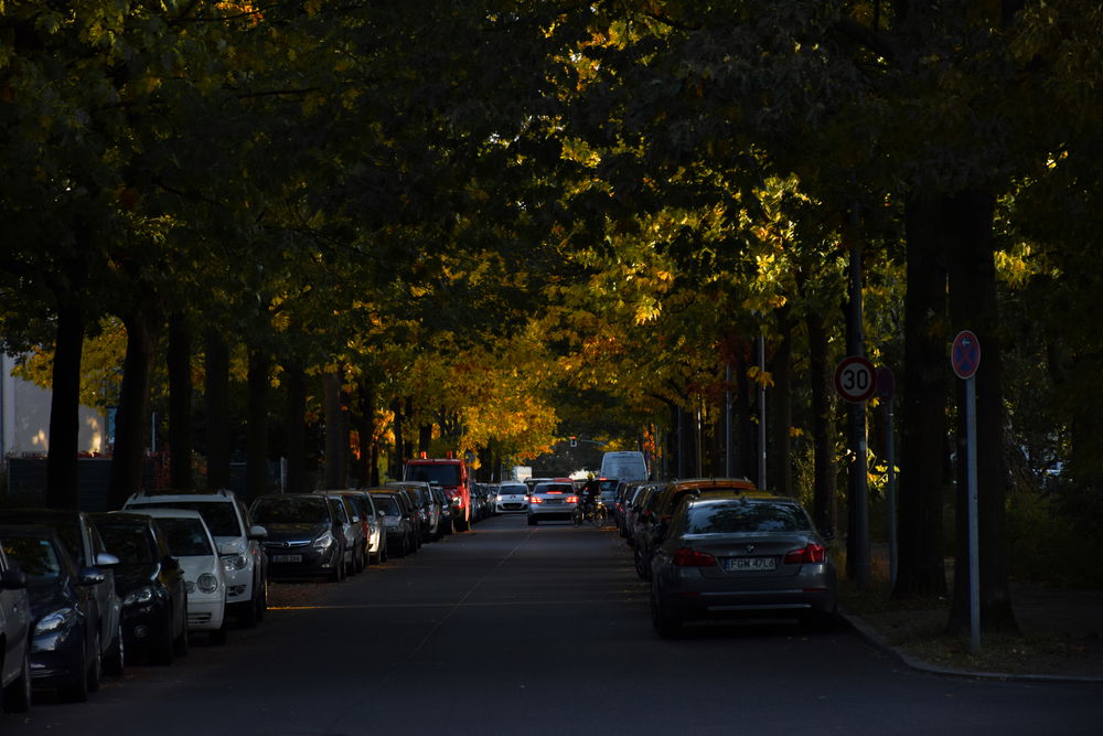 רחוב בשפנדאואר פורשטאט, ברלין
