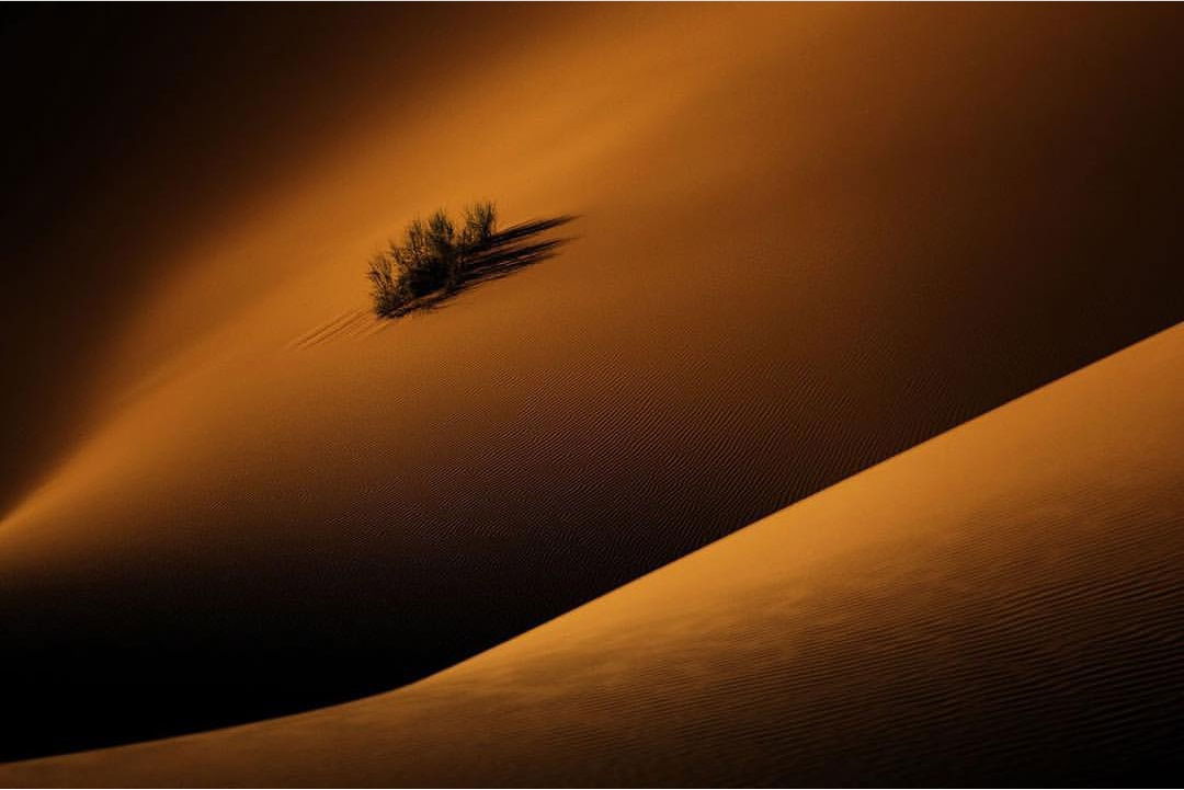 בתחרות הצילום הבינלאומית: פורים במאה שערים