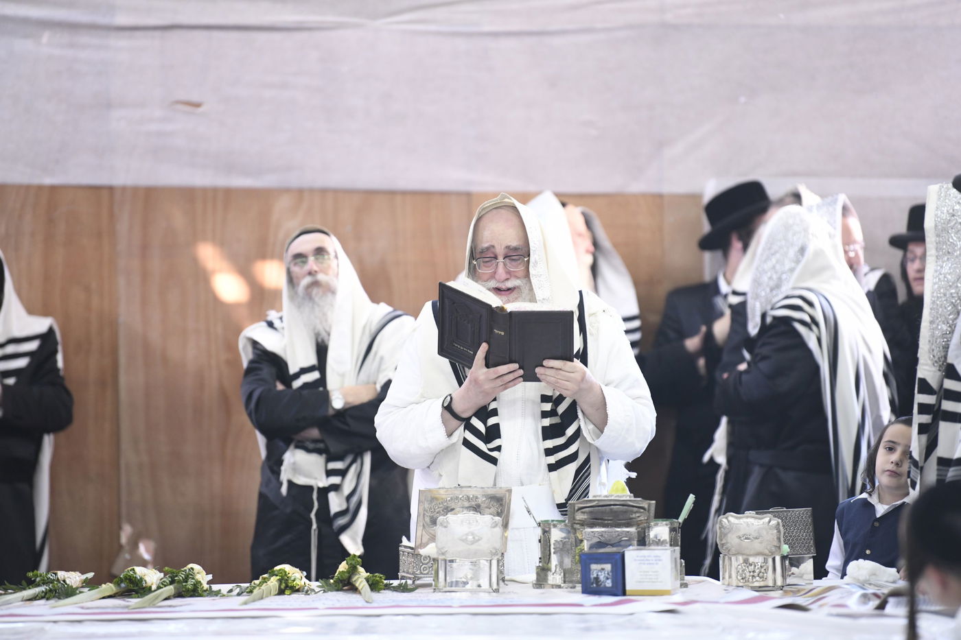 זריקת התפוחים וההקפות: "שמחת תורה" בצאנז