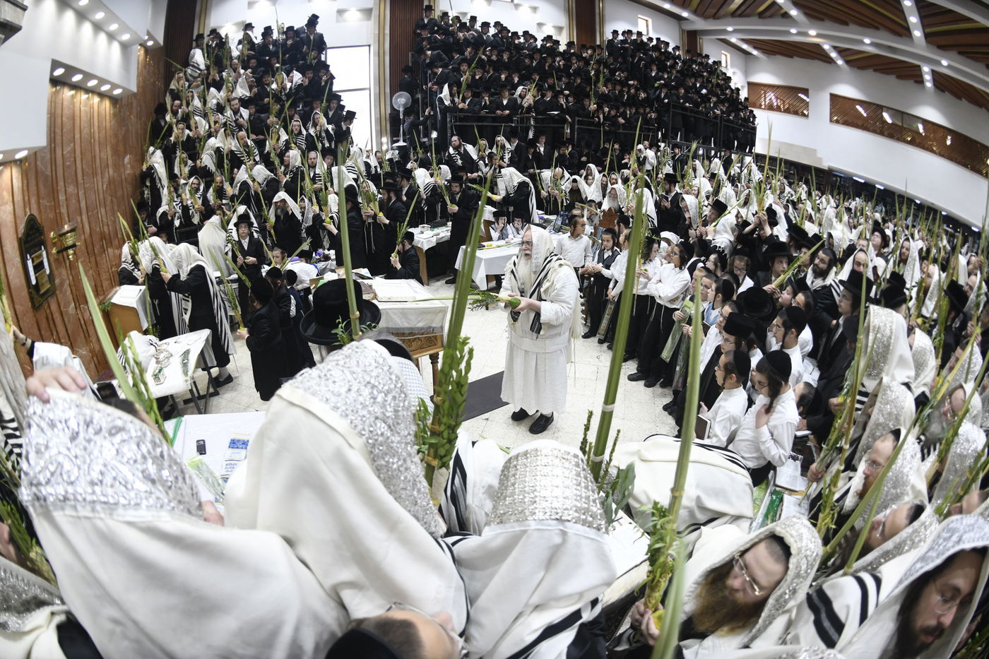 זריקת התפוחים וההקפות: "שמחת תורה" בצאנז