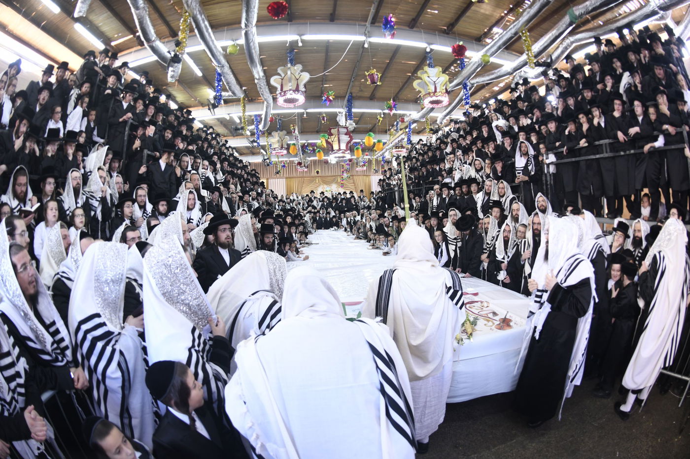 זריקת התפוחים וההקפות: "שמחת תורה" בצאנז