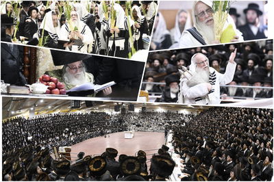 זריקת התפוחים וההקפות: "שמחת תורה" בצאנז