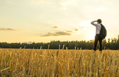 אילוסטרציה - מהאויר