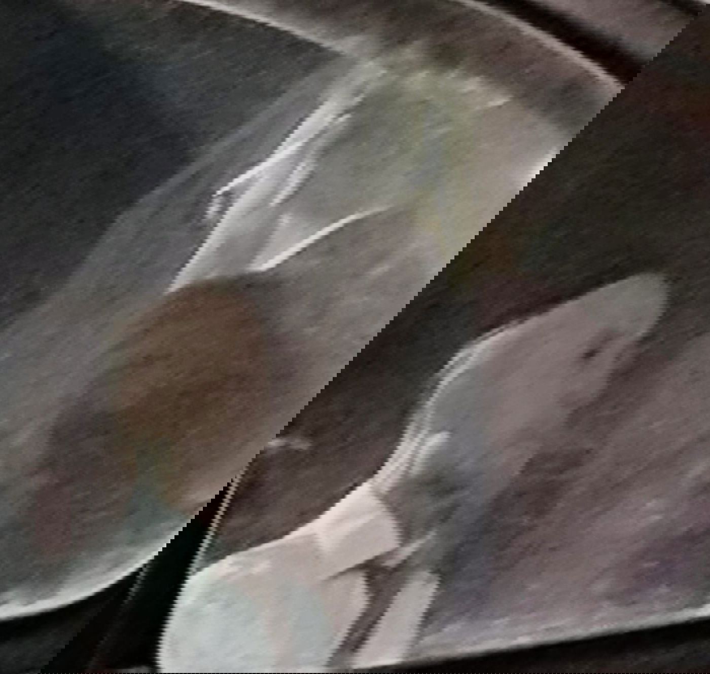 לאחר עשור: פינדרוס שלח מכתב התפטרות מעיריית י-ם