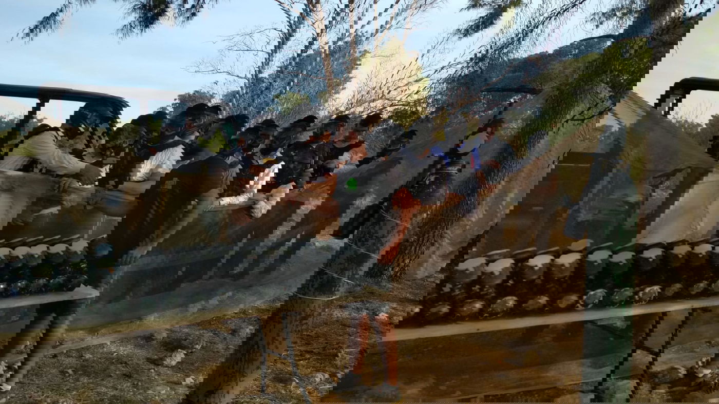 הטיול של בני הישיבות: שחרית ביער ופיינטבול