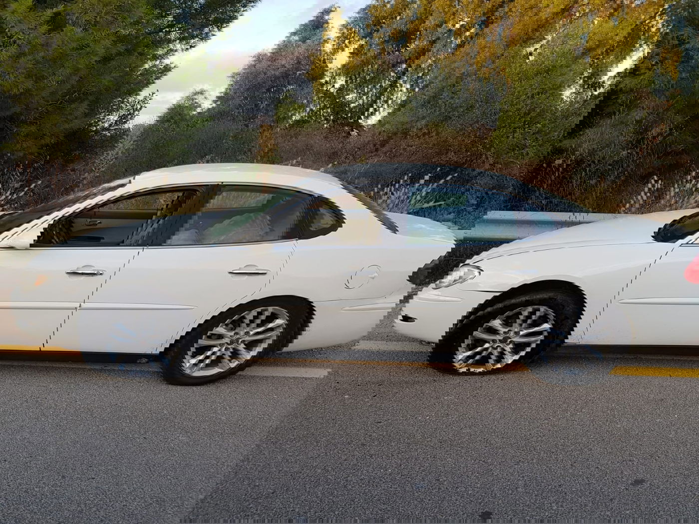 כתב אישום: גנבו 1,300 ק"ג של אבוקדו