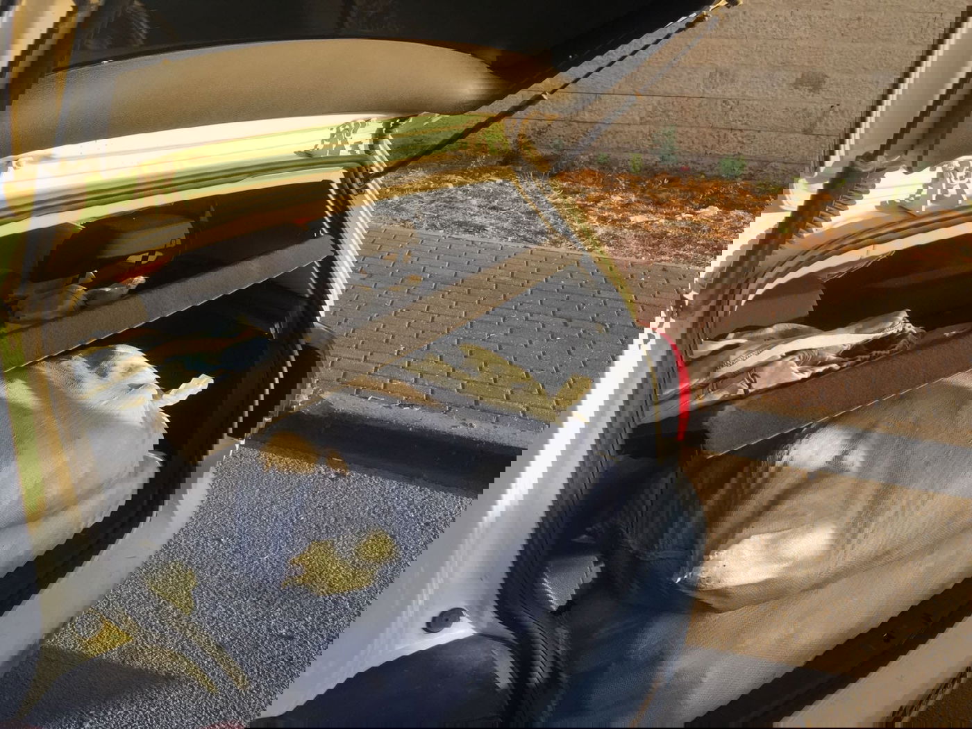 כתב אישום: גנבו 1,300 ק"ג של אבוקדו