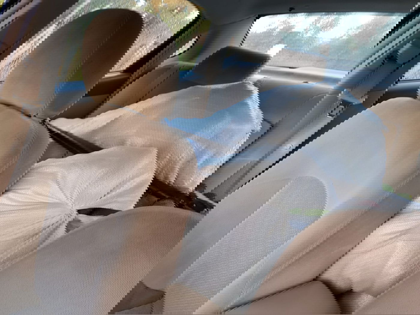 כתב אישום: גנבו 1,300 ק"ג של אבוקדו