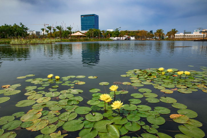 פארק אקולוגי בפתח תקווה