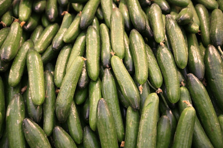 עלייה של כ-60 אחוז במחירי מלפפון למשווק