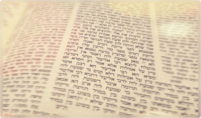 הדף היומי: מסכת מנחות דף ס"א יום רביעי א' בחשוון ב' דר"ח חשוון