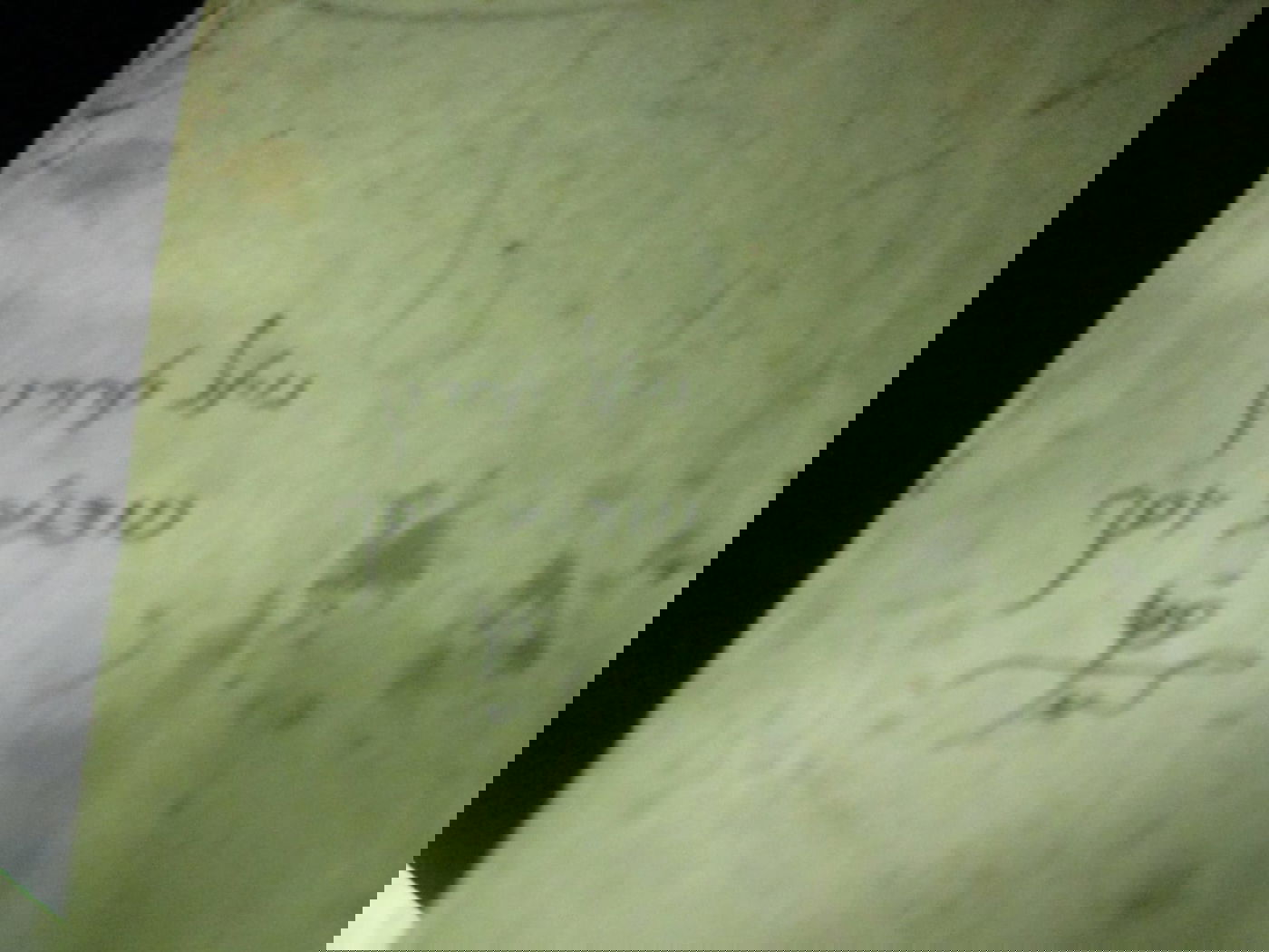 ההקדשה, ההערה והכסף: גילויים חדשים משולחנו של מרן