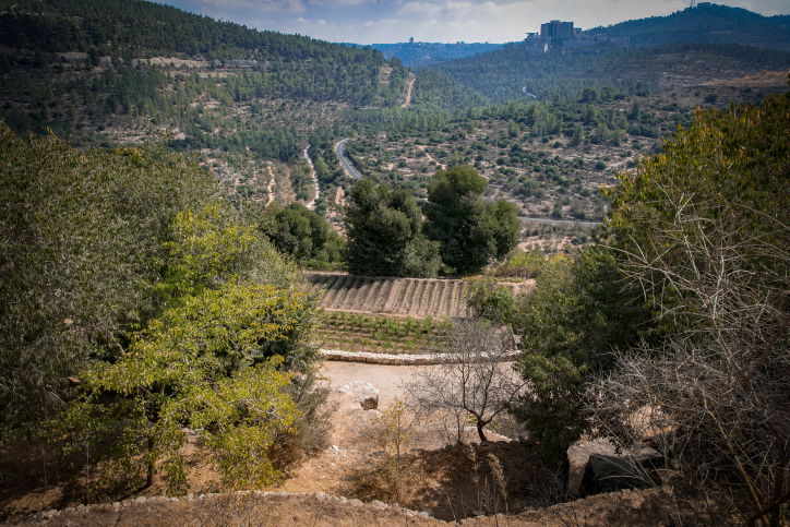 מעיין הסטף בסמוך לירושלים • גלריה