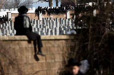 אבל בבורו פארק. אילוסטרציה