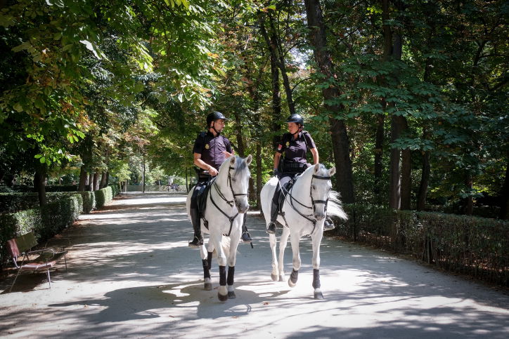 טיול ברחובות מדריד דרך עדשת המצלמה