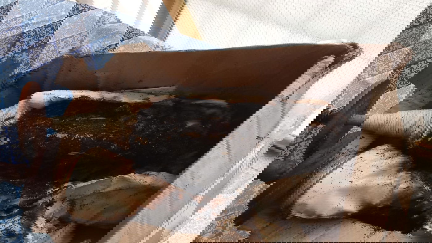 מעורער בנפשו שרף ספר תורה והשליך לפח