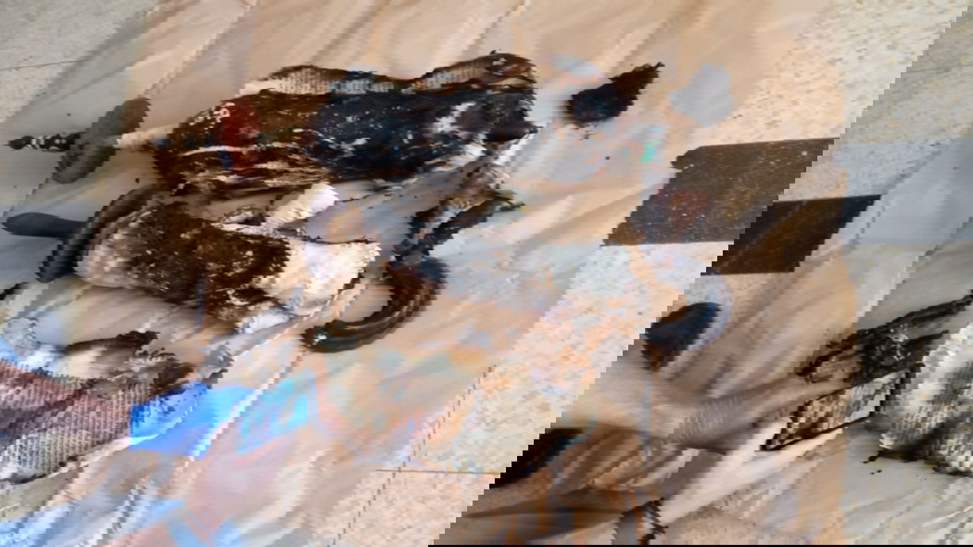 מעורער בנפשו שרף ספר תורה והשליך לפח