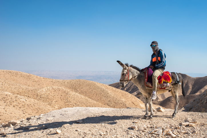 מדבר יהודה השבוע