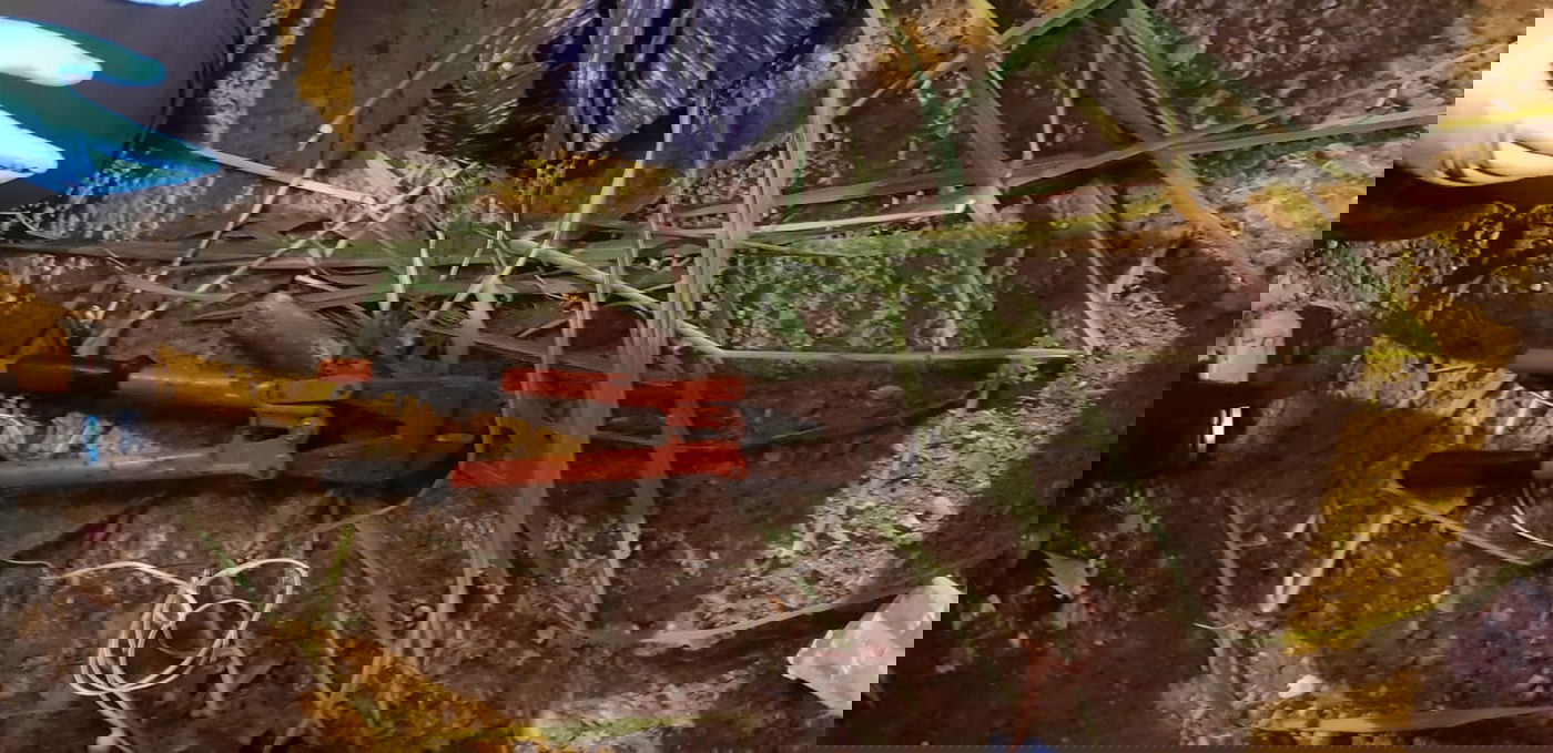 בני ברק: שני חשודים נעצרו בחשד שניסו לפרוץ אופניים חשמליים